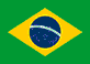 Vulcan Riders Brasil